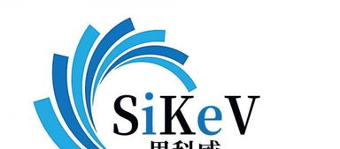 企業(yè)數(shù)字化形象構(gòu)建 從網(wǎng)站建設(shè)到電商設(shè)計與品牌策劃